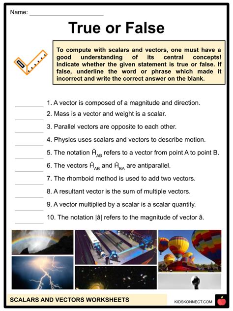 Scalars and Vectors Worksheets & Facts | Operations, Significance