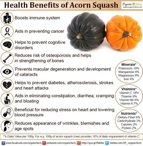 Acorn squash nutrition - senturinpa