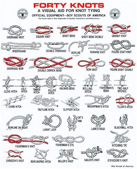 4 Best Handy Knot Guides You Can Print & Practice Anywhere | Gút, Học ...