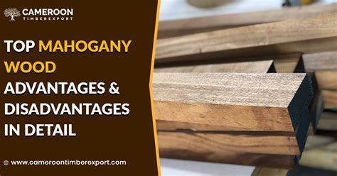 Top Mahogany Wood Advantages and Disadvantages in Detail