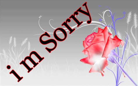 I Am Sorry Wallpapers - Wallpaper Cave