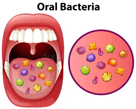 An Image Showing Oral Bacteria Stock Vector - Illustration of healthy, bacteria: 115268282