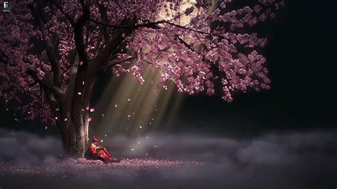 Sakura Tree Live HD wallpaper | Pxfuel