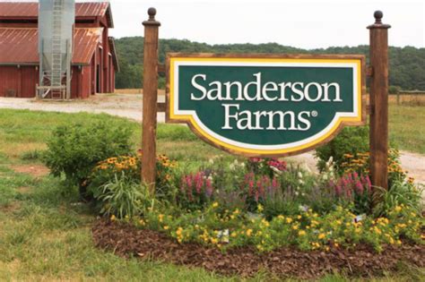 Sanderson Farms recognizes women in agriculture | 2021-03-03 | MEAT+POULTRY