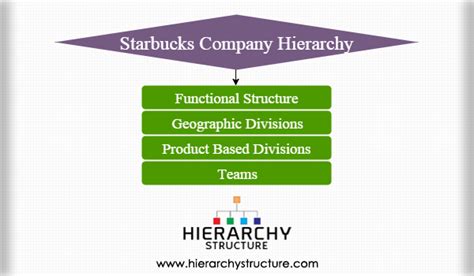 Starbucks Company Hierarchy Chart | Hierarchystructure.com