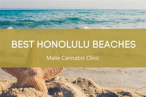 Top 7 Beaches to Visit in Honolulu