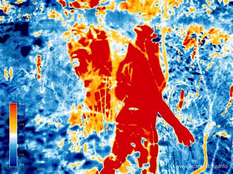 Thermographic thermal imaging art — Adam Sébire