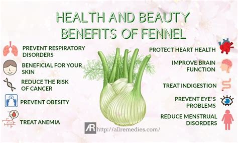 28 Health And Beauty Benefits Of Fennel