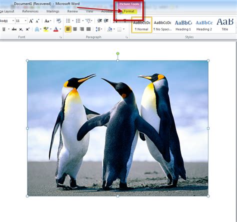 How to Remove the Background of an Image in a MS Word 2010 Document | Technical Communication Center