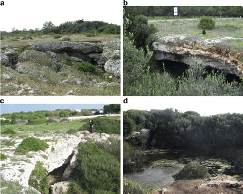 Examples of typical sinkholes in the area. a) sinkhole developed in ...