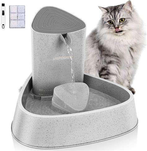 5 Best Battery-Operated Water Bowls for Cats - Birman Cats Guide