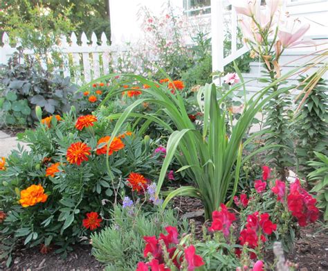 Garden Fancy: Mid-July Scenes