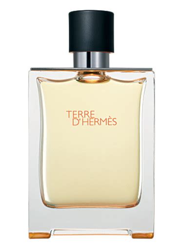 Terre d'Hermès Hermès cologne - a fragrance for men 2006