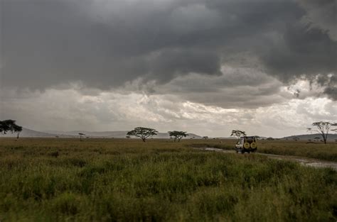 Tanzania Long Rainy Season Weather - Rove.me