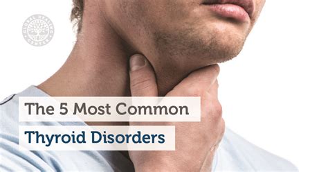 The 5 Most Common Thyroid Disorders