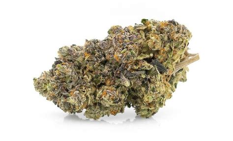 Biscotti Cannabis Strain - Biscotti Review - High Yields