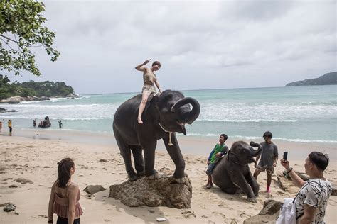 100 years of elephants: See how Nat Geo has photographed these iconic ...