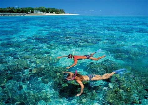 Best Cozumel Snorkeling Beaches: Top 3 during 2023