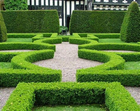 Garden hedges, Parterre garden, Formal gardens