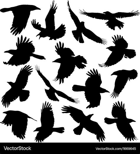 Crow silhouette set 01 Royalty Free Vector Image