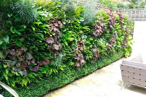 Living Wall Systems For Your Garden | London Stone | London Stone