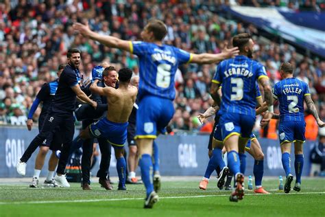 AFC Wimbledon promoted to League One: Our favourite images from their Play-Off Final win at ...