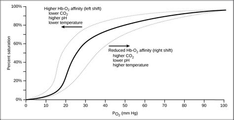 Transport of Gases in Human Bodily Fluids | Biology for Majors II