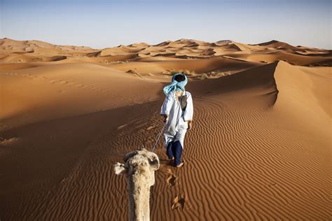 √ What Is The Average Temperature In The Sahara Desert