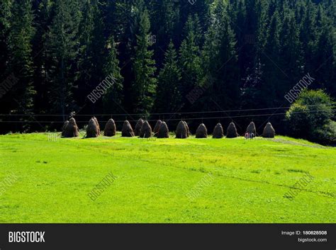 Landscape Apuseni Image & Photo (Free Trial) | Bigstock