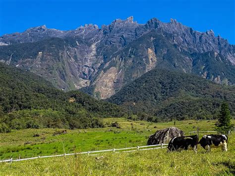 Perfect Kota Kinabalu Itinerary For 2 - 5 Days [2024] - Dive Into Malaysia