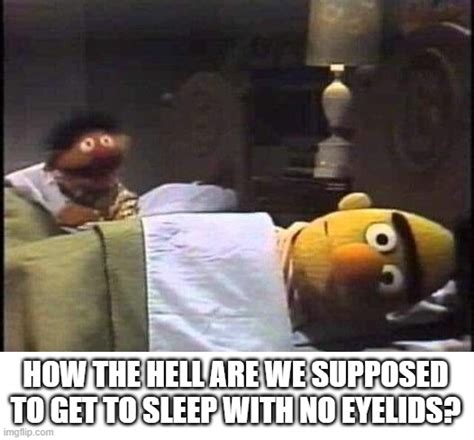 Bert and Ernie - Imgflip