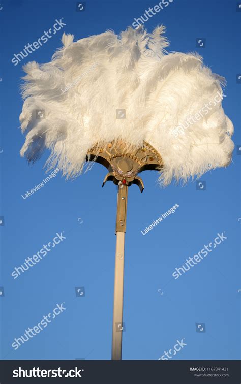 Ostrich Feathers Fan