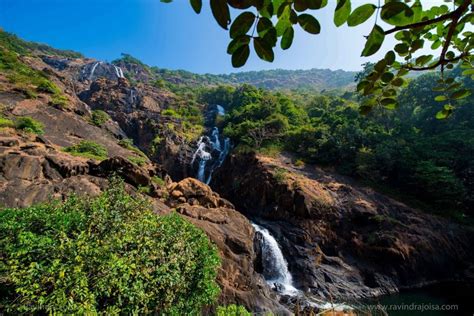 Hike from picturesque and gorgeous Dudhsagar waterfall to Kuveshi - Goa ...