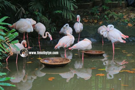 Langkawi Wildlife Park