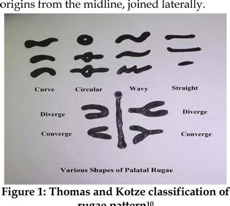 Figure 1 from Role of palatal rugae pattern in forensic identification ...