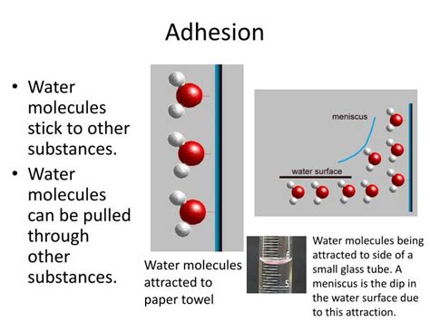 PPT - Understanding Water PowerPoint Presentation - ID:2739092