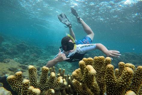 The Best Snorkelling in Fiji: 15 Places to Snorkel - Fiji Pocket Guide