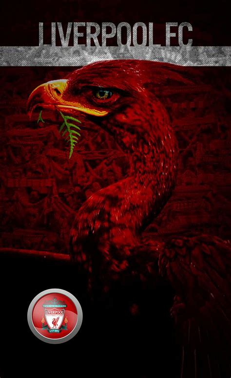 Liverpool FC, champians, football, liverbird, logo, soccer, ynwa, HD phone wallpaper | Peakpx