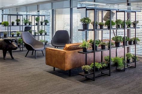 Beautiful Office Plants Without the Worry - Mila Davincka - Beautiful Office Plants Without the ...