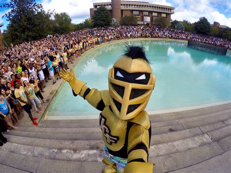 Knightro on Twitter: "I've been known to take a selfie or two with my ...