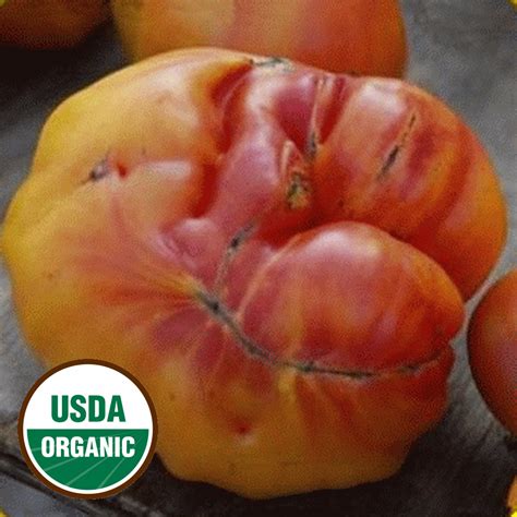 Organic Heirloom Tomato Seeds - Organic Old German