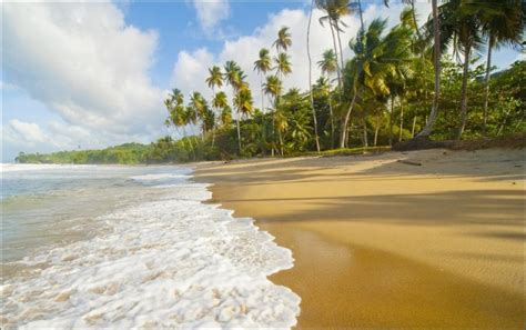 Introducing Best Caribbean Beaches | Caribbean Travel Guide