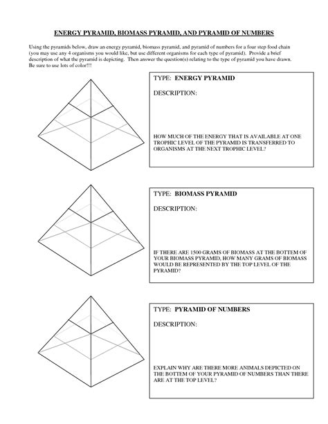 Energy Pyramid Practice Worksheet - Printable Word Searches