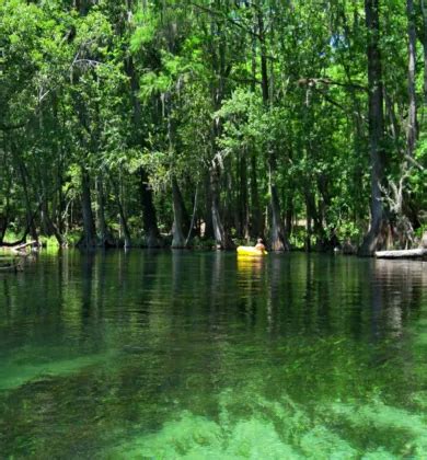 Nearby Springs - Steinhatchee River Inn & Marina - Official Website