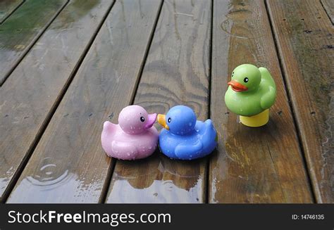 7+ Kissing ducks Free Stock Photos - StockFreeImages