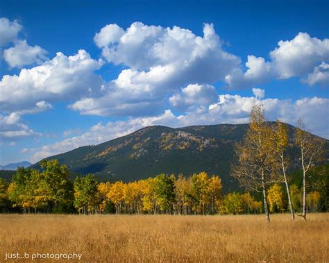 Aspen Trees in Fall - Colorado's Colorful Fall Landscape Scenery