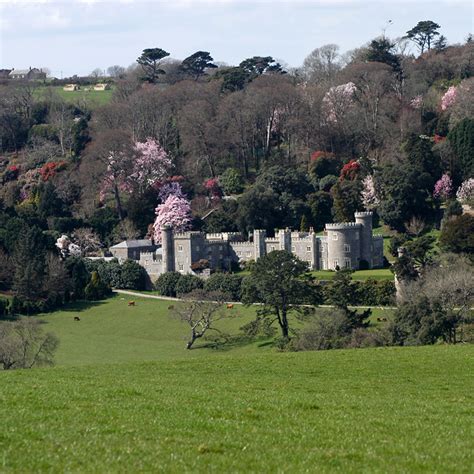 Caerhays Castle Spring Gardens - The Great Gardens of Cornwall