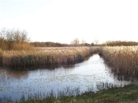 Planned Peat Fen | Landscape East