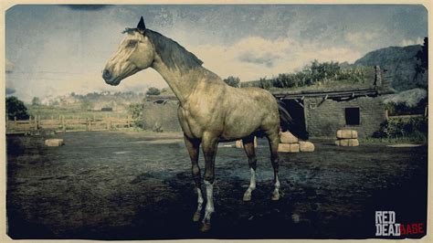 Gold Turkoman Horse | RDR2 & Online Horse Stats & Locations