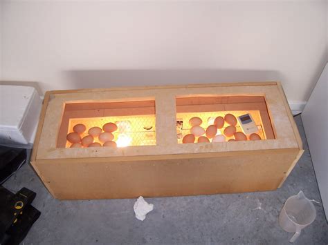 Small chicken coop: Guide Plans for building a chicken egg incubator